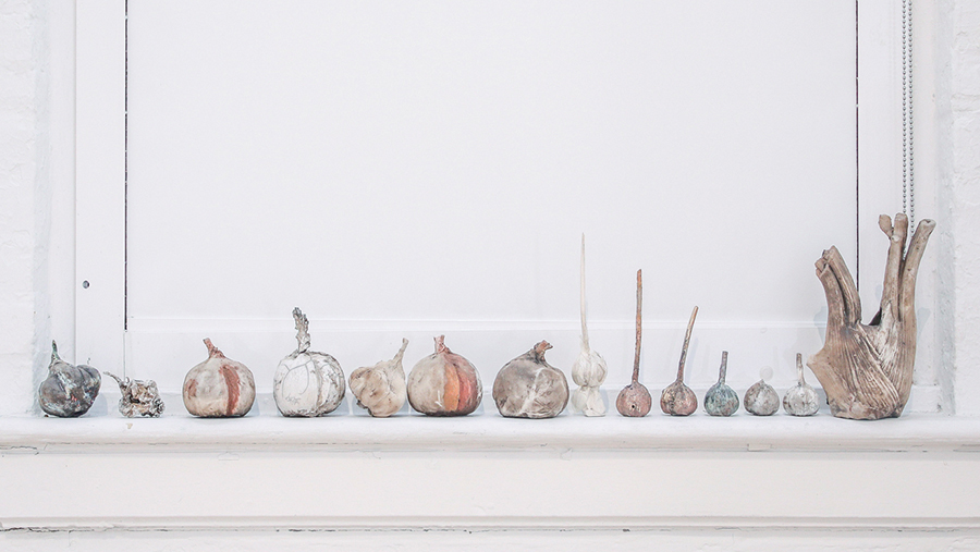 Grace Sachi Troxell The Soul of a Turnip Cornell AAP